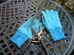 gardening gloves
