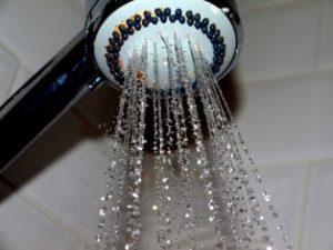 shower head