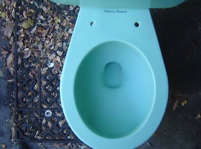 bowl sitting toilet
