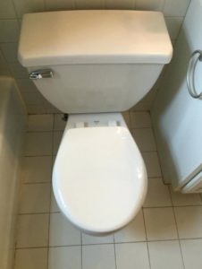 flush toilet