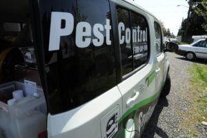 pest control companies come up with specialized plans