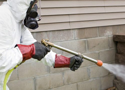 Tips on Eliminating Terminates from Your Home