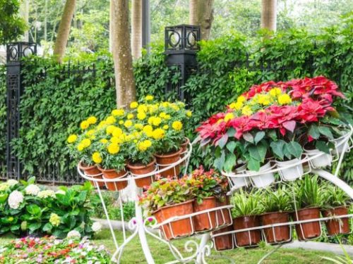 Landscaping Design Tips for Beginners