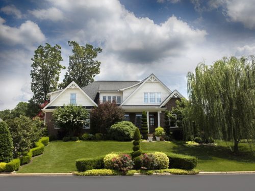 What to Consider Before Hiring Tree Services Company
