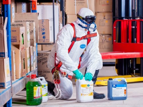 Save Yourself Now With Pest Control