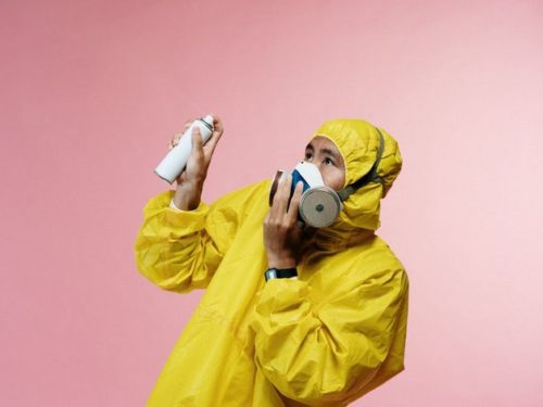 The Benefits of Hiring a Pest Control Company