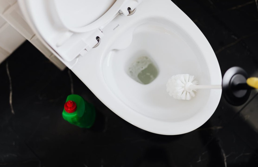 toilet cleaning